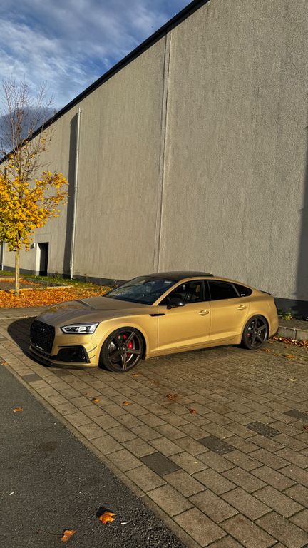 Bild des Angebotes Audi S5 Sportback 3.0 TFSI | Einzigartige Lackierung