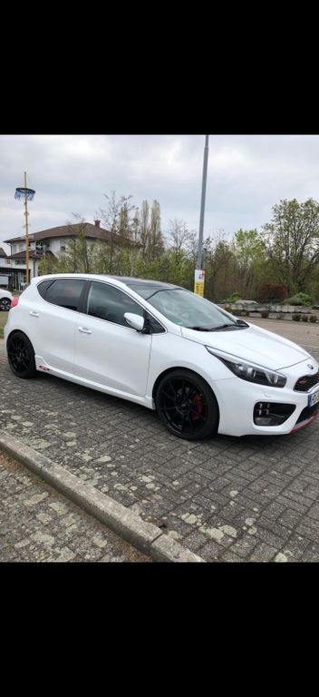 Bild des Angebotes Kia cee'd / Ceed 1.6 T-GDI GT-Track GT-Track