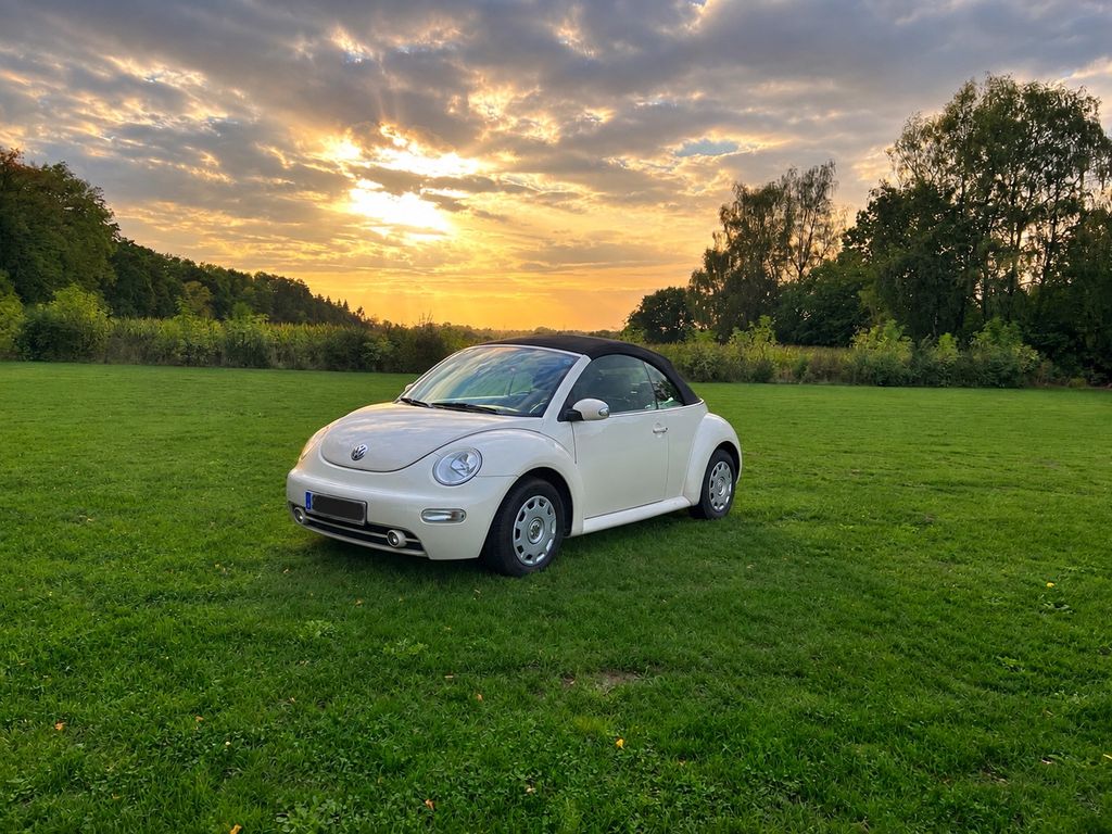 Bild des Angebotes Volkswagen New Beetle 1.9TDI Cabriolet Standard