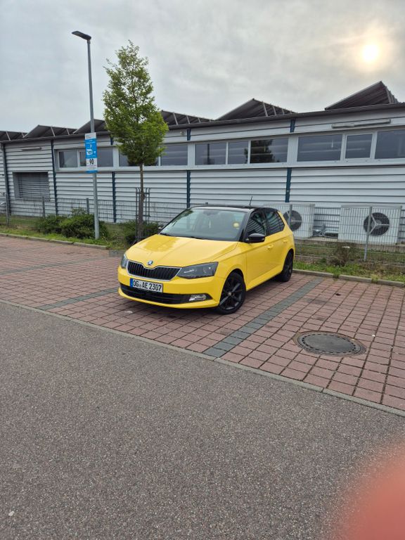 Bild des Angebotes Skoda Fabia 1.2l TSI 110 PS Monte Carlo