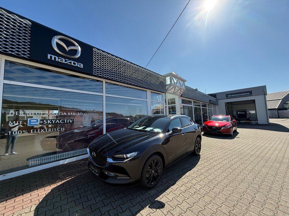 Bild des Angebotes Mazda CX-30 2.5L e-SKY-G 140 Homura