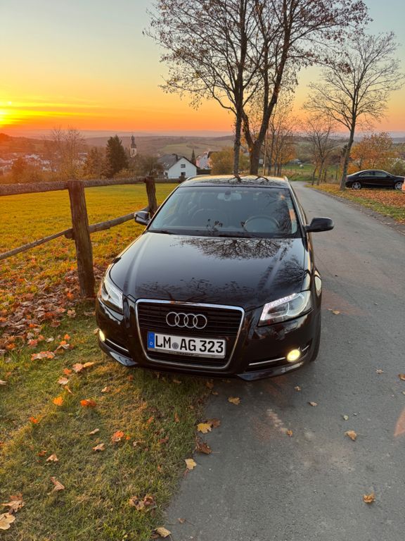Bild des Angebotes Audi A3 2.0 TDI (DPF) Ambition Sportback Ambition