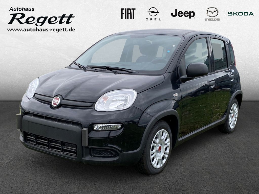 Bild des Angebotes Fiat Panda 1.0 Mild Hybrid *DAB*Bluetooth*Klima*Freis