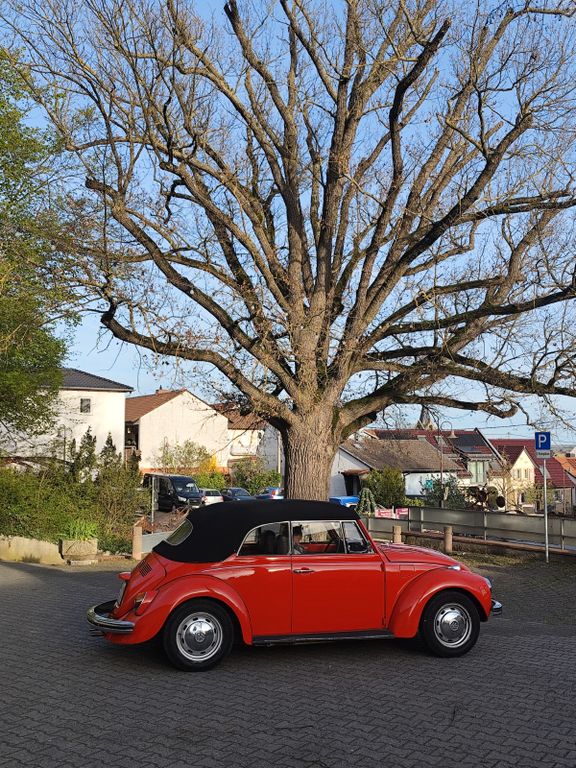 Bild des Angebotes Volkswagen Käfer Cabrio LS