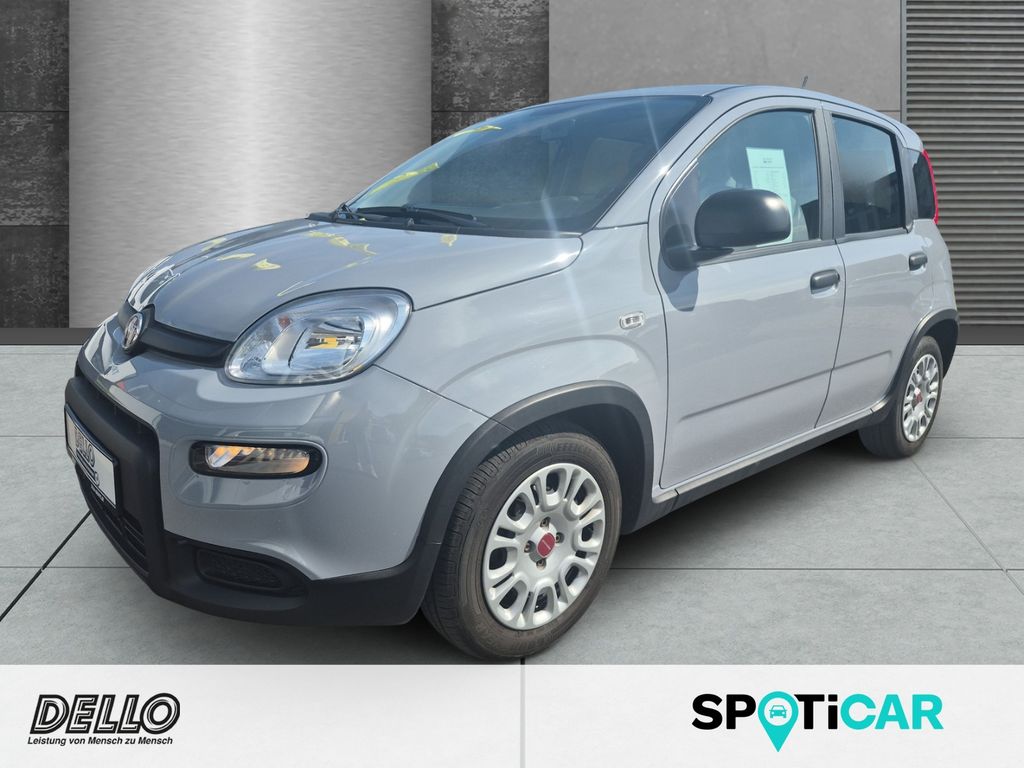 Bild des Angebotes Fiat Panda 1.0 Mild-Hybrid DAB Klima BT eFH Radio ZV