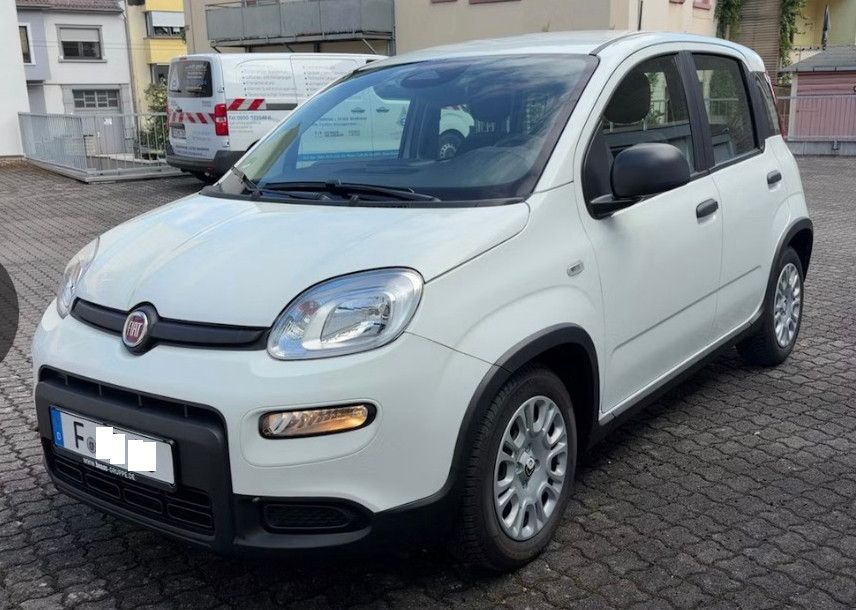 Bild des Angebotes Fiat Panda 1.0 GSE Hybrid, Klima, DAB, PDC hinten eFH
