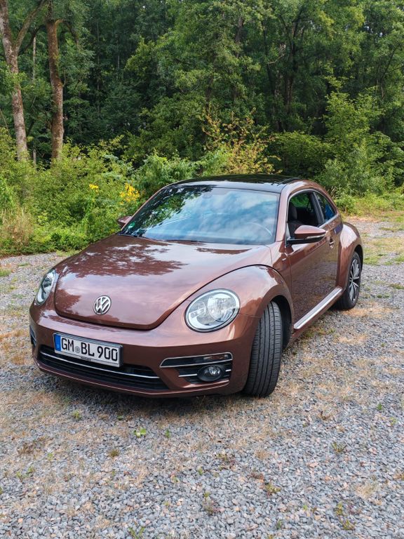 Bild des Angebotes Volkswagen Beetle 2.0 TDI 81kW BMT ALLSTAR ALLSTAR