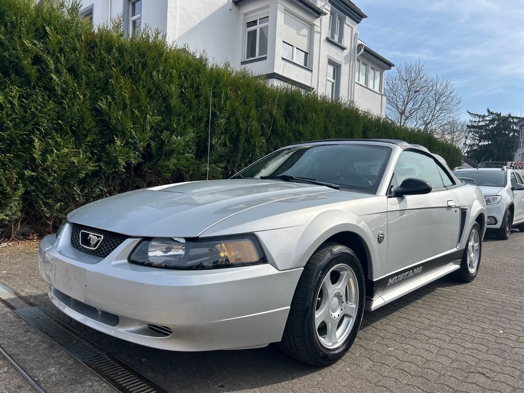 Ford Mustang Cabrio