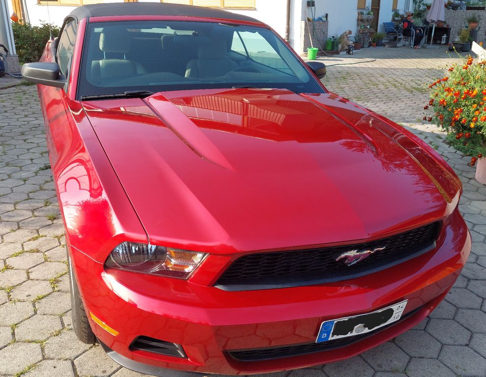 Bild des Angebotes Ford Mustang