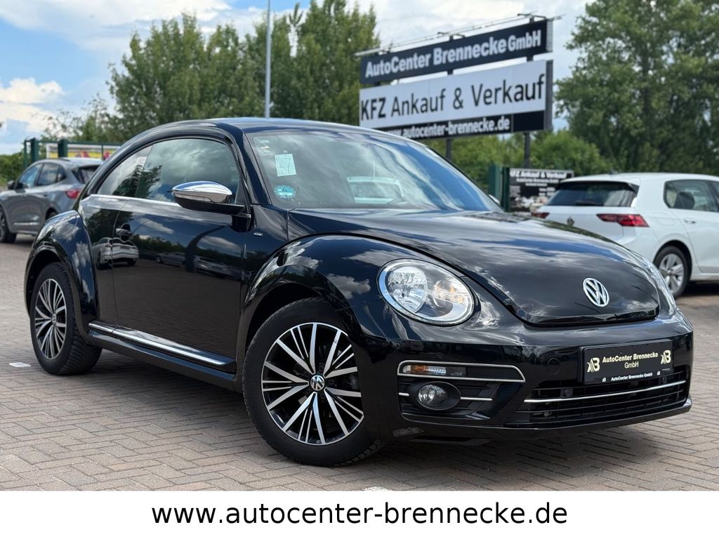 Bild des Angebotes Volkswagen Beetle Allstar BMT*Allwetter*PDC*