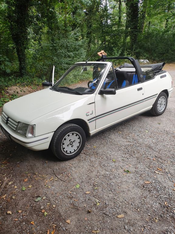 Bild des Angebotes Peugeot 205 Auto Forever Forever