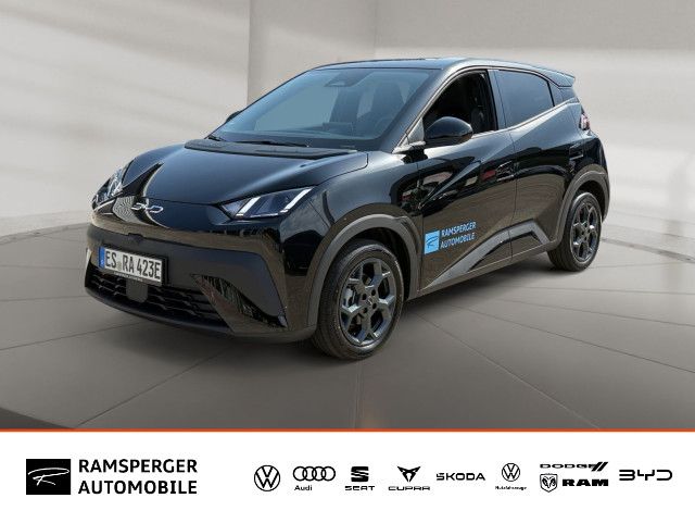 Bild des Angebotes BYD Dolphin Surf Comfort