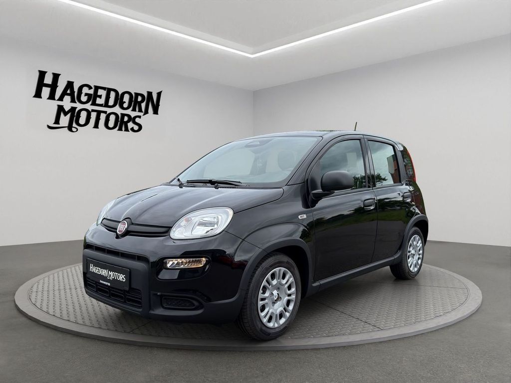 Bild des Angebotes Fiat Panda PANDINA CROSS DAB SPURHALTE CITY