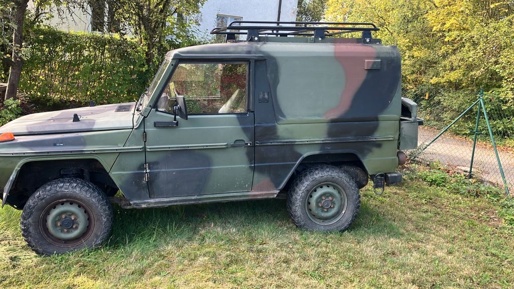Bild des Angebotes Mercedes-Benz G 250 Wolf