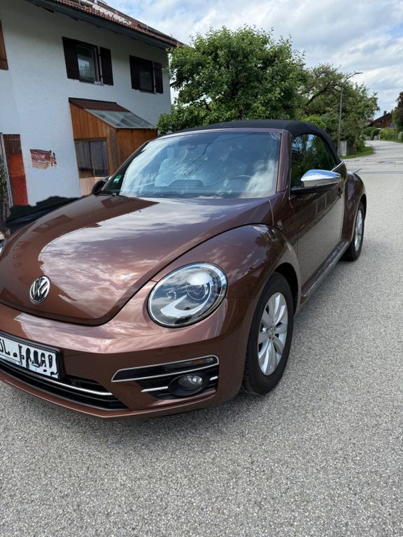 Bild des Angebotes Volkswagen Beetle Cabrio