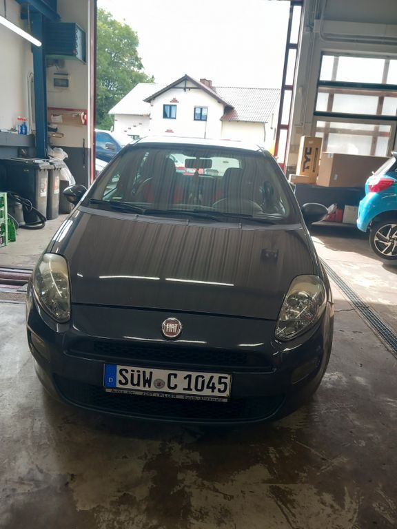 Bild des Angebotes Fiat Punto Evo