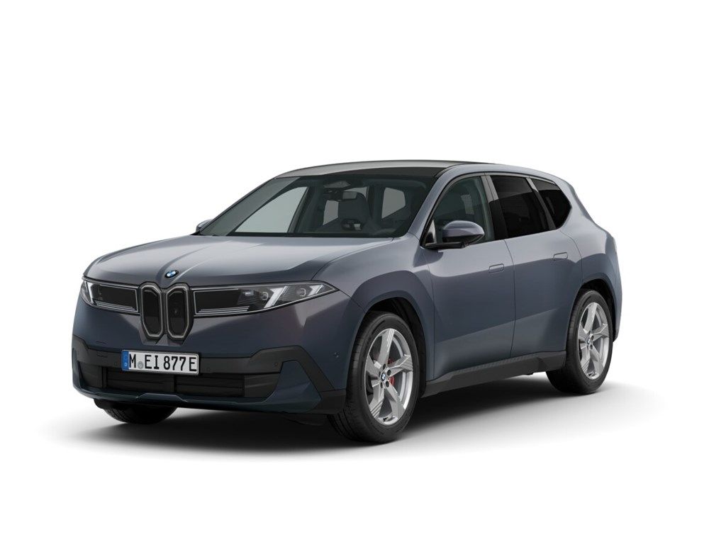 Bild des Angebotes BMW iX3 50 xDrive Park-Assistent