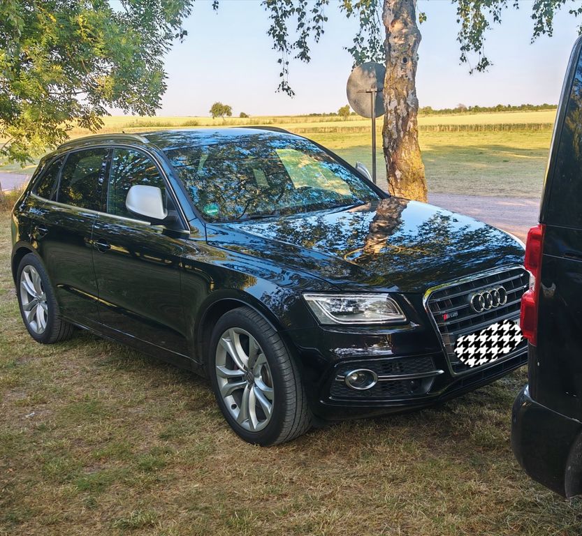 Bild des Angebotes Audi SQ5 3.0 TDI tiptronic quattro - ACC, AHK, B&O