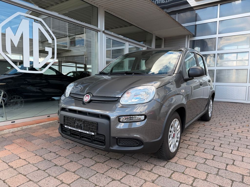 Bild des Angebotes Fiat Panda 1.0 Mild-Hybrid Benziner 71PS