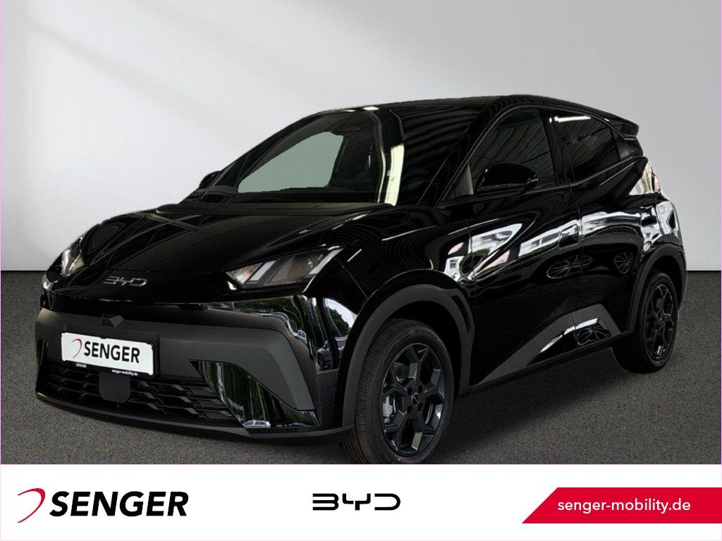 Bild des Angebotes BYD Dolphin Surf Comfort Leder ACC LED Carplay 360°K