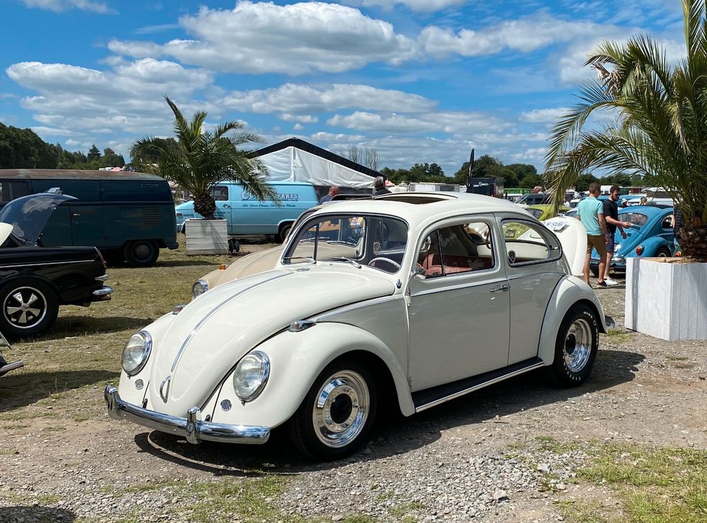 Bild des Angebotes Volkswagen Käfer - Dickholmer Callook *H-Kennzeichen neu*