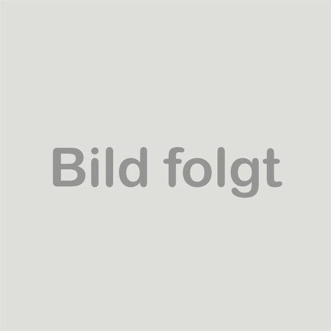 Bild des Angebotes KGM Rexton 4x4 Wildleder Vollaus., 3,5t Anhängelast