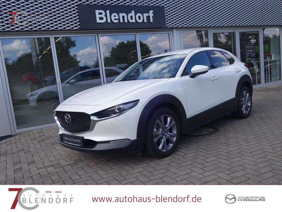 Bild des Angebotes Mazda CX-30 Selection 122 Design|Active|Navi|Bose