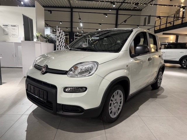 Bild des Angebotes Fiat Panda 1.0 Mild Hybrid EU6e, City Paket, Bluetoot