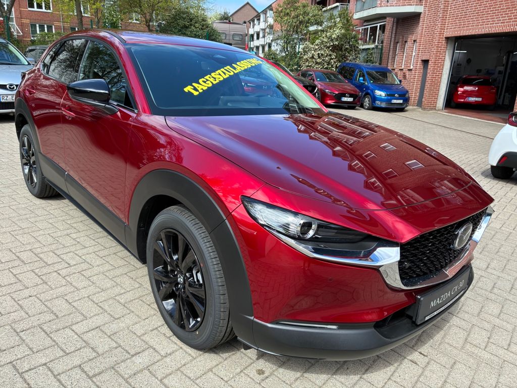 Bild des Angebotes Mazda CX-30 SKYACTIV-G 140 Homura