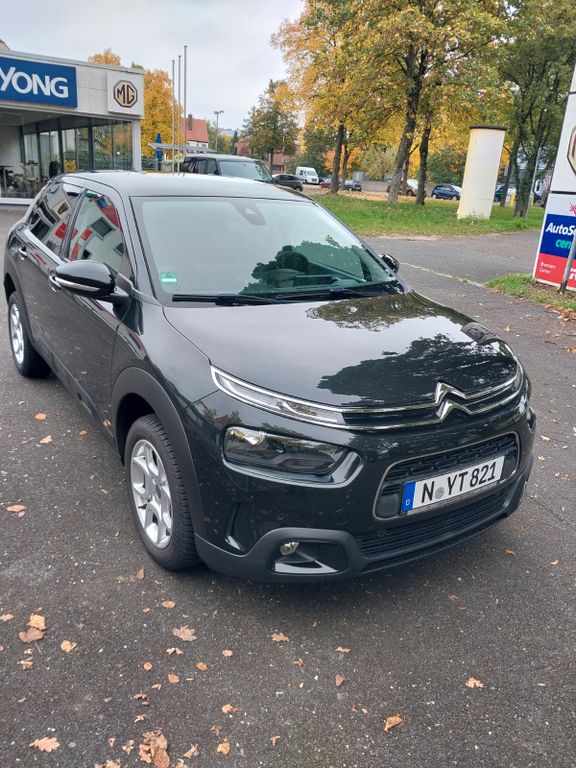 Bild des Angebotes Citroën C4 Cactus BlueHDi 120 S&S Shine EAT6 Shine