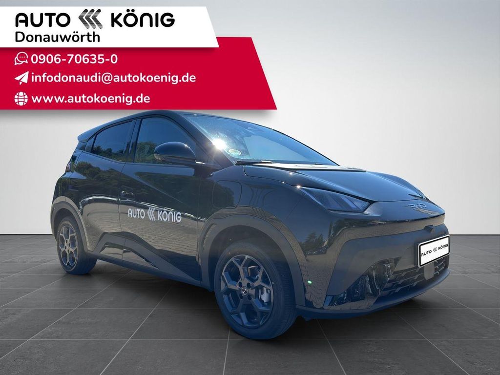 Bild des Angebotes BYD Dolphin Surf 115 kW Comfort
