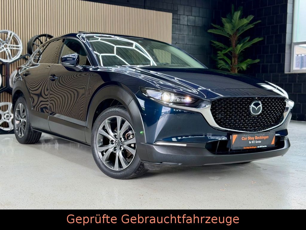 Bild des Angebotes Mazda CX-30 Selection AWD/HEAD-UP/ACC/LED/360°/BOSE