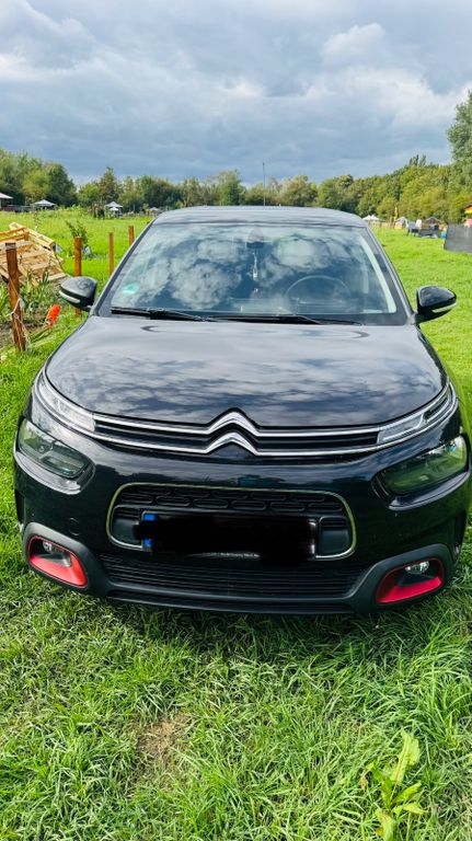 Bild des Angebotes Citroën C4 Cactus PureTech 130 S&S Shine Shine