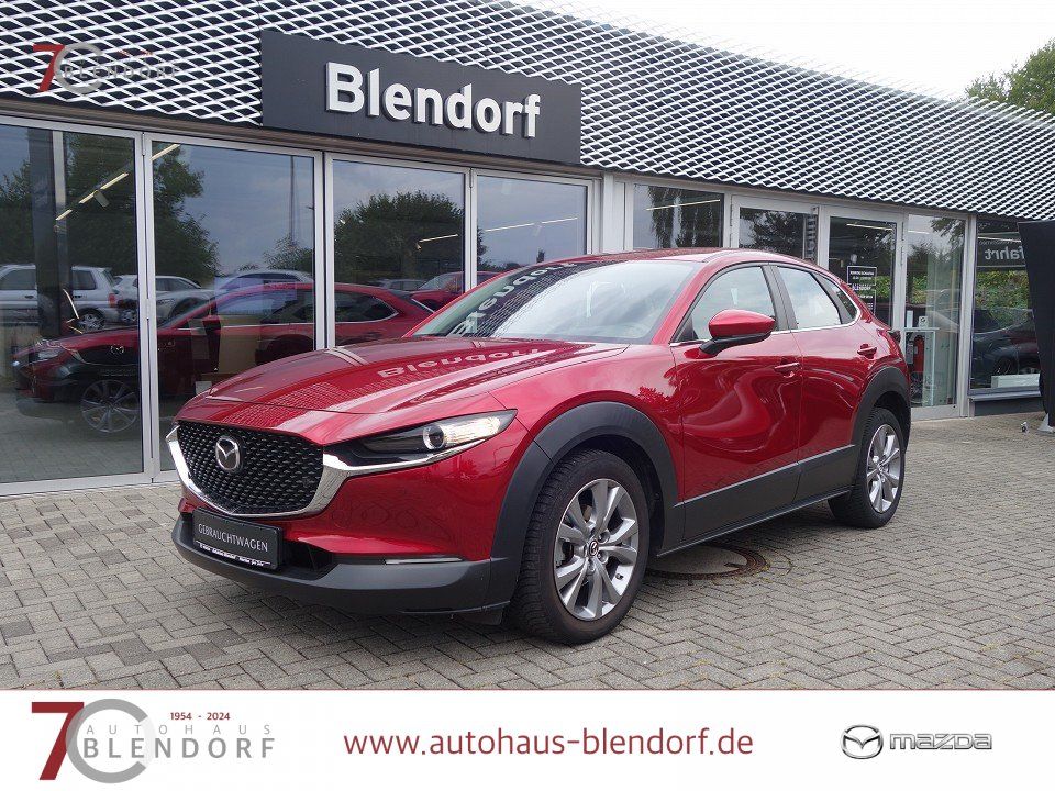 Bild des Angebotes Mazda CX-30 Selection 122 Navigation|Kamera|PDC|Apple