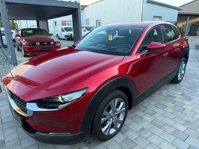 Bild des Angebotes Mazda CX-30 /Head-up/Navi/LED/Sitzheizung/Anhängerk.