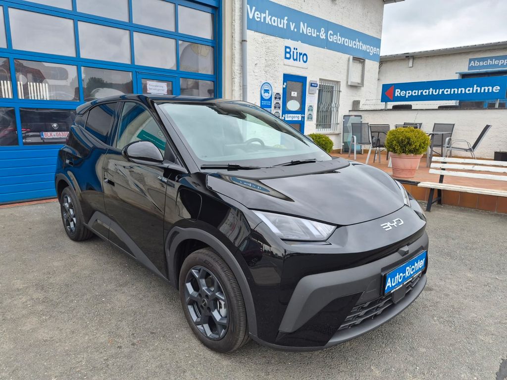Bild des Angebotes BYD DOLPHIN Surf 43.2kWh Comfort Sitzheizung