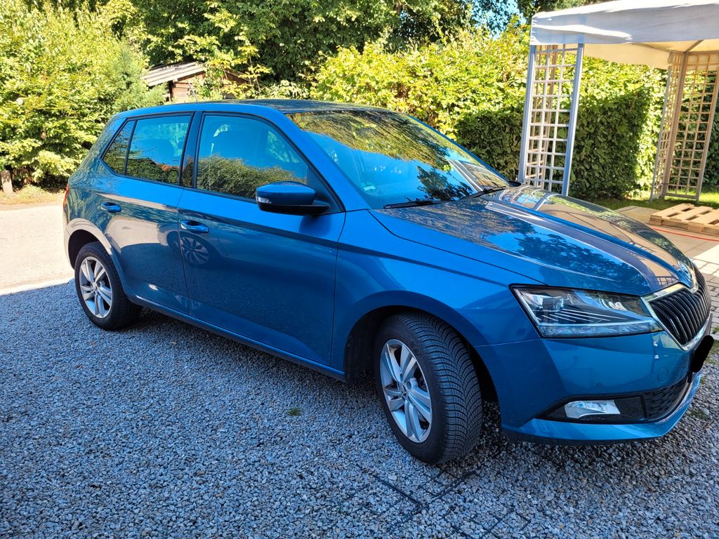 Bild des Angebotes Skoda Fabia 1.0l TSI 81kW STYLE STYLE