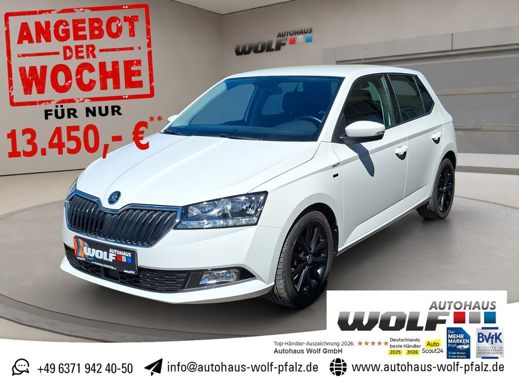 Bild des Angebotes Skoda Fabia 1.0 TSI Clever Best of ACC~SmartLink~SHZ~S