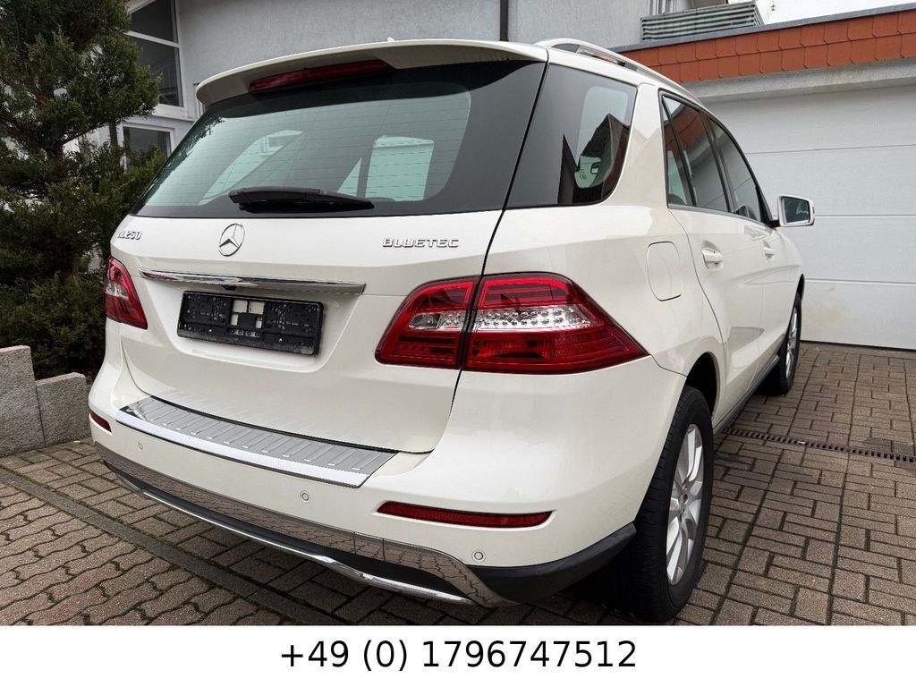 Bild des Angebotes Mercedes-Benz ML 250 ML   4 Matic Kamera