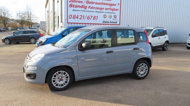 Bild des Angebotes Fiat Panda Easy 1,0 70 PS Mildhybrid Modagrau
