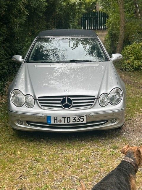 Bild des Angebotes Mercedes-Benz CLK 240 ELEGANCE Elegance