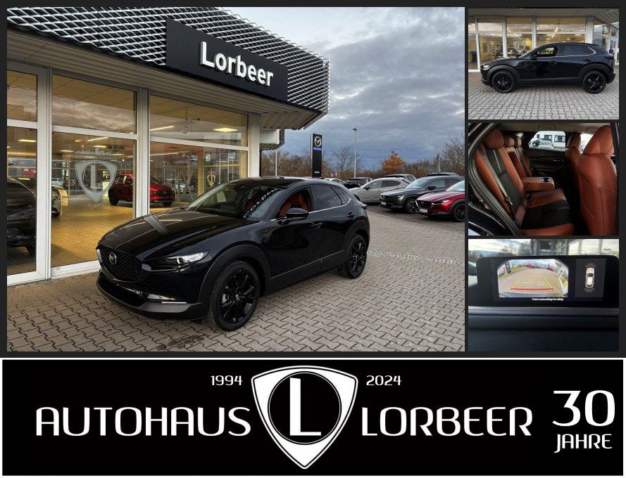 Bild des Angebotes Mazda CX-30 2.5L e-SKYACTIV 140PS 6AT NAGISA BOSE NAVI
