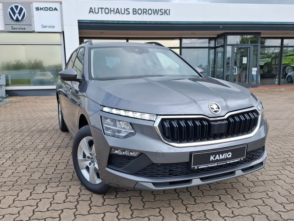 Bild des Angebotes Skoda Kamiq 1.0 TSI DSG "130 Jahre Edition"