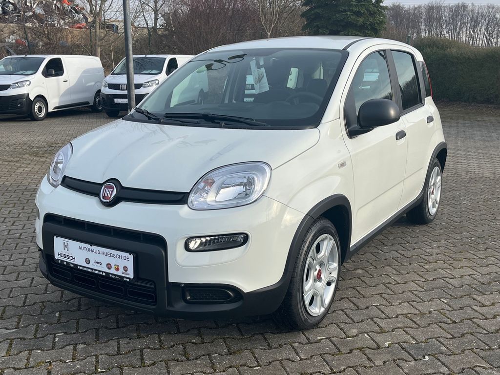 Bild des Angebotes Fiat Panda Base / Radio, Bluetooth, Klima, elektr. FH
