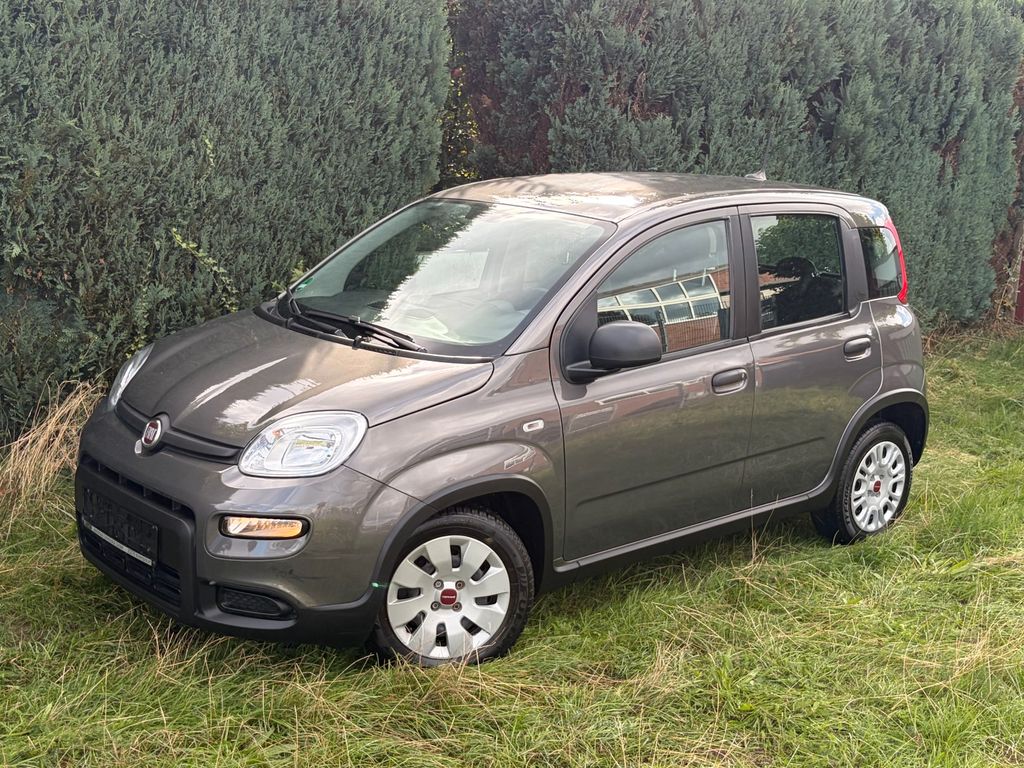 Bild des Angebotes Fiat Panda Base Hybr.Benzin 1-Hand*Garantie*gepflegt*