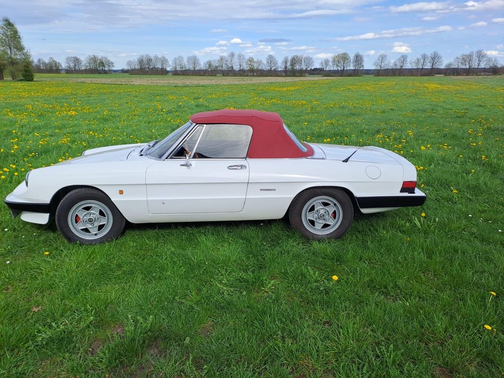 Bild des Angebotes Alfa Romeo Spider