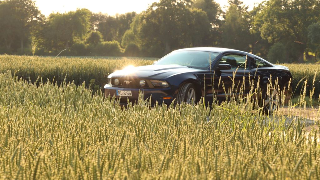 Bild des Angebotes Ford Mustang GT Schalter 5.0