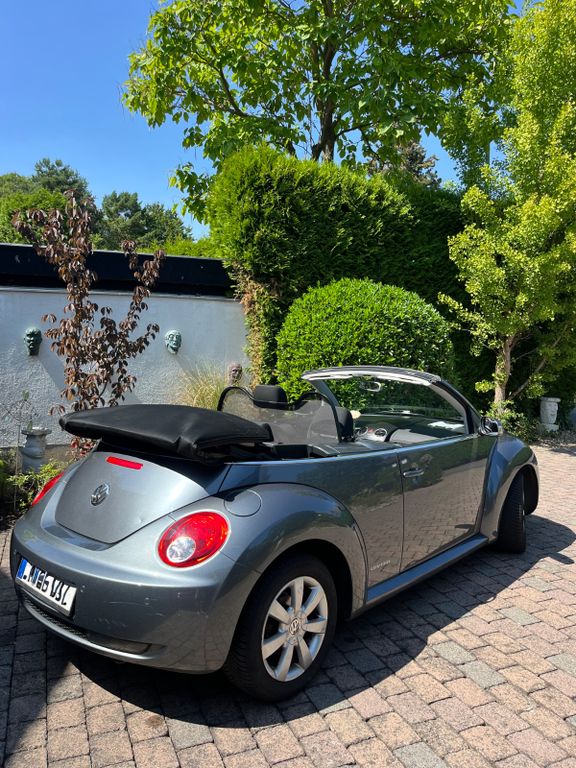 Bild des Angebotes Volkswagen New Beetle 1.6 United Cabriolet United