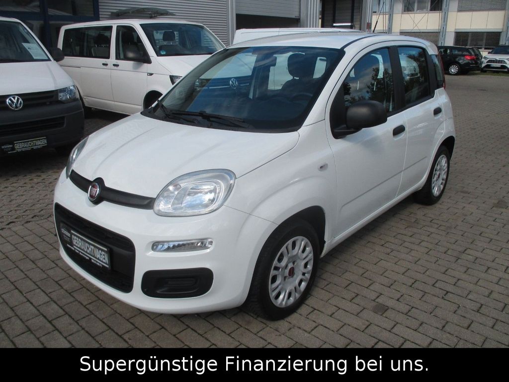 Bild des Angebotes Fiat Panda Easy 1,2. KLIMA,GARANTIE,1-HAND