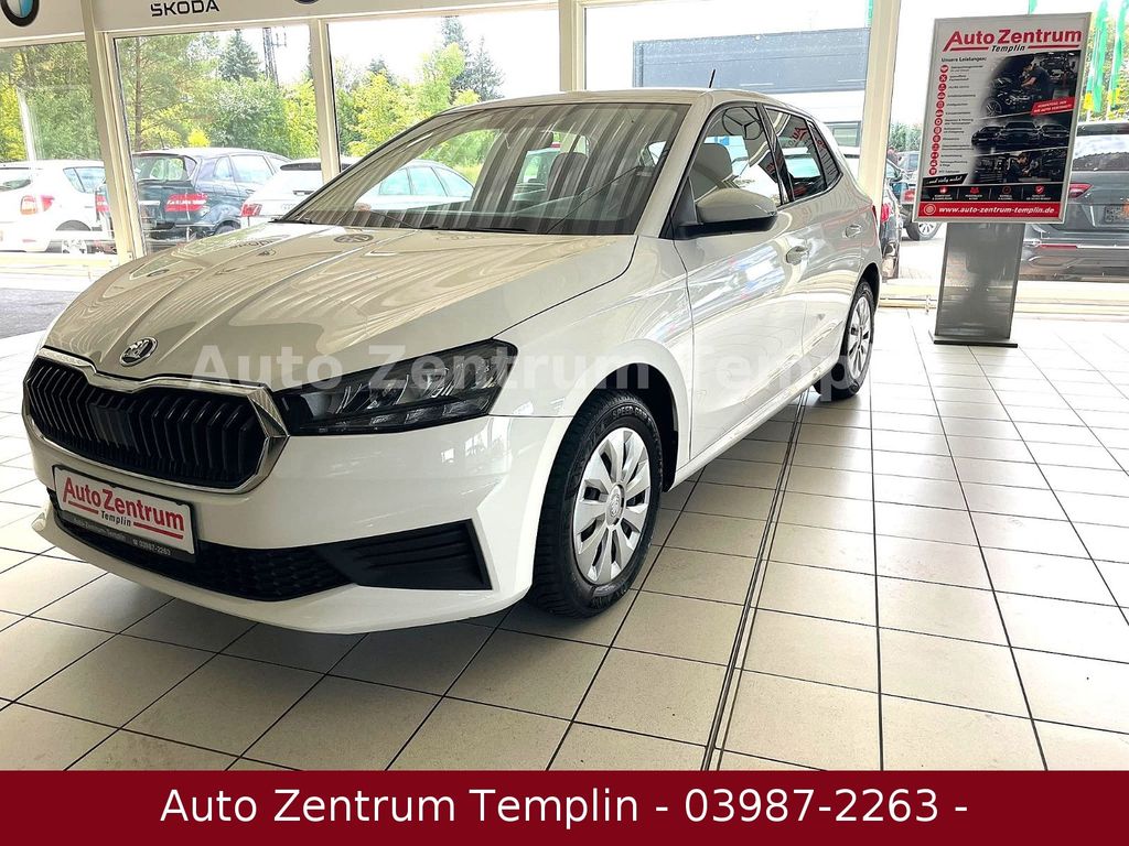 Bild des Angebotes Skoda Fabia-1.Hand-DSG-LED-Navi-8 fach-TÜV-GAR-